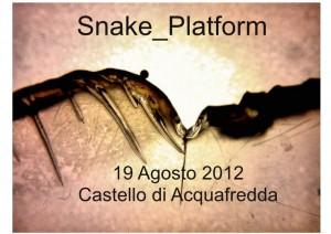 Performance de Snake Platform: improvvisazione al Castello di Acquafredda, 19 agosto 2012, Siliqua