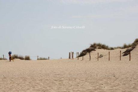 A NORD DELLA COSTA SMERALDA di Dolcipensieri