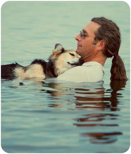 SCHROEP, IL CANE MALATO CHE SI ADDORMENTA CULLATO NELL'ACQUA