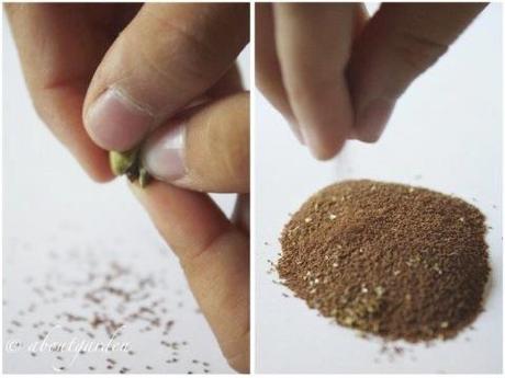 DIY: seed packet