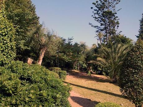 La terra dal profumo dei fiori, Liguria - Bordighera, Sanremo.