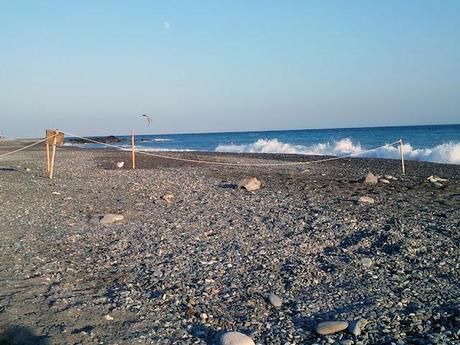 La terra dal profumo dei fiori, Liguria - Bordighera, Sanremo.