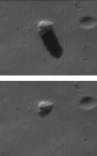 Monolite su Phobos - dettaglio
