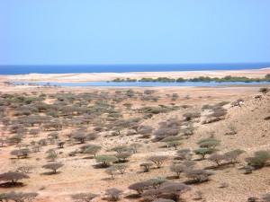 Mete turistiche ma non troppo: l’Eritrea