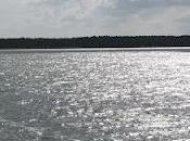 Nelle parole, l'odore semplice mare