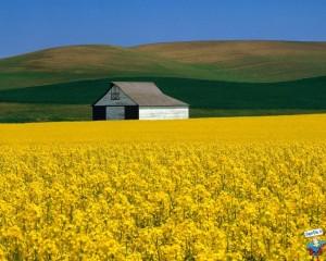 IMMAGINI DELLA NATURA SU SUPEREDO.IT