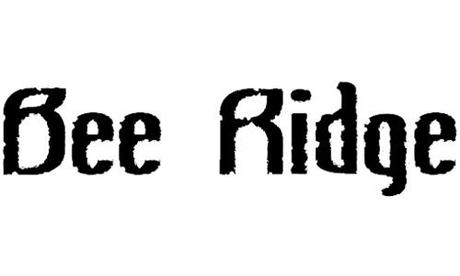 bee ridge font retro