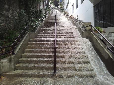 Cosa succede a Istanbul quando piove (vol. 2)