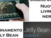 Samsung Galaxy versione nera aggiornamento Jelly Bean