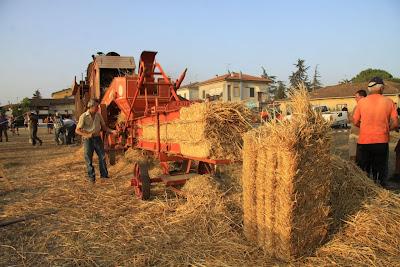 la festa della battitura ad Isola