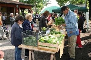 Emilia Romagna “Mercolbio” il mercato ecologico di Imola (Bo)