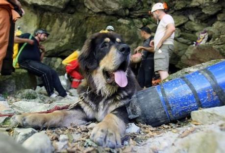 BUCA DELLA RENARA: un’altra sorgente “OLTRE -100m” !!