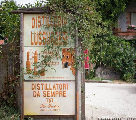 Degustazioni di Sardegna – Sognando Cabras