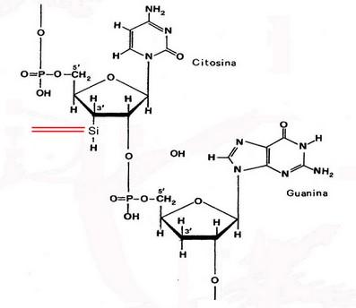 Scie chimiche e modificazioni genetiche