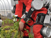 vita lineare dell'uomo bionico.