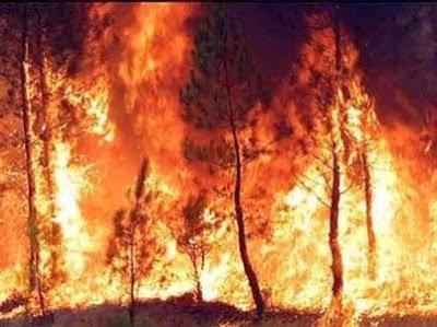 Inventato il cannone sonico per spegnere gli incendi