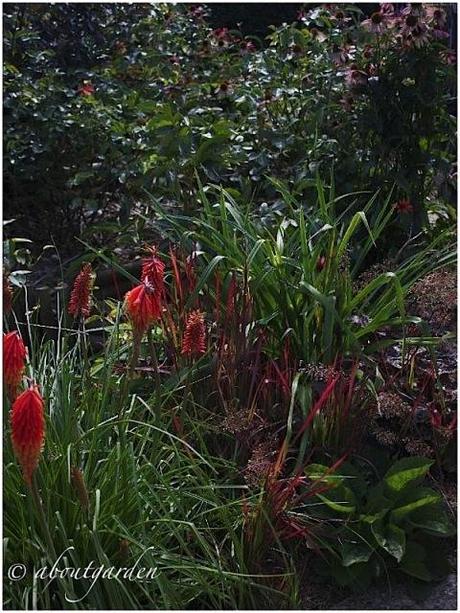 jardin près de Lyon