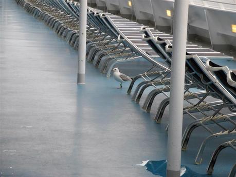 Diario di viaggio, crociera “Oltre Capo Nord”, Costa Pacifica, Costa Crociere (III). Navigazione e Tromso.