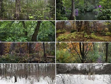 Photoespaña: TIERGARTEN. UN JARDÍN ROMÁNTICO ALEMÁN