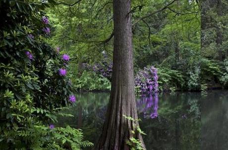 Photoespaña: TIERGARTEN. UN JARDÍN ROMÁNTICO ALEMÁN