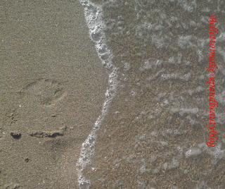 Nel quotidiano di B!girl: Ferragosto alla spiaggia della Lecciona