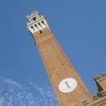 Palio, Siena, 16 agosto, 2012, immagini, fantino