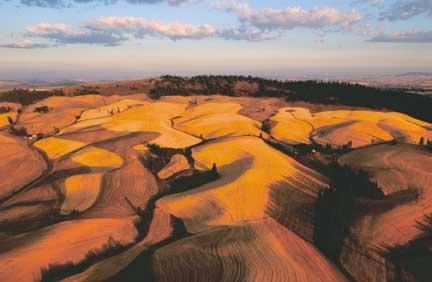 Aerial photo of Paradise Ridge, whereupon our little farm nestles so nice and snug