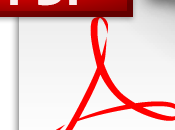 Adobe Reader 10.1.4 Flash Player 11.3.300.271