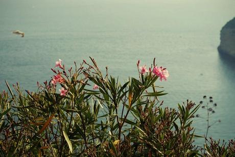 From Naples with love (part III) + Positano