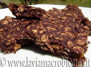 Barrette di cereali al cacao