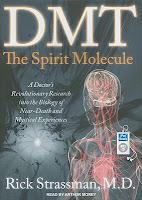 DMT: la molecola dello spirito?