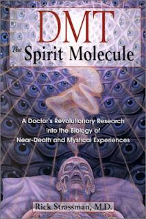 DMT: la molecola dello spirito?