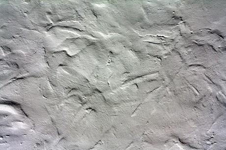 Free Texture Photoshop: Stucco Texture