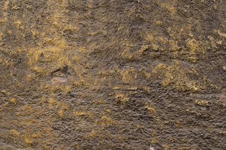 Free Texture Photoshop: Stucco Texture