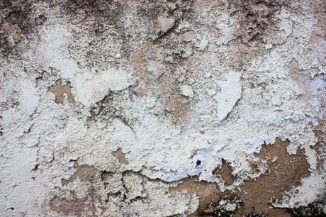 Free Texture Photoshop: Stucco Texture