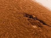 Macchia solare 1542 Sole