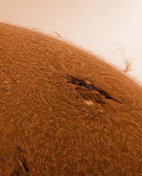 Macchia solare 1542 sul Sole