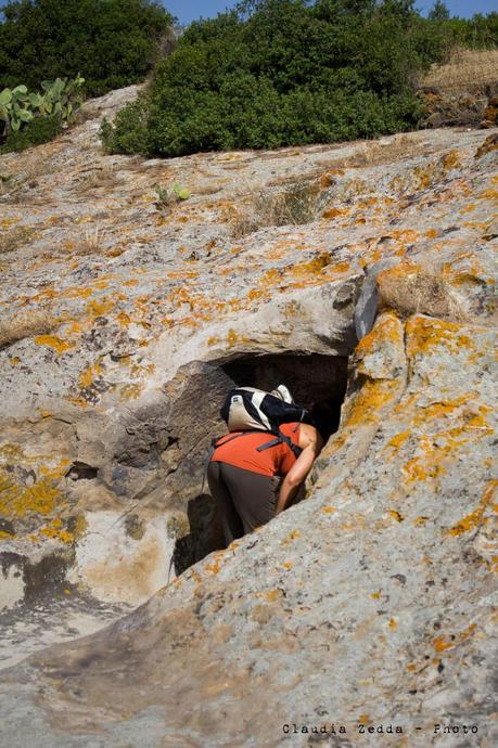 Degustazioni di Sardegna: da Oniferi a Fonni