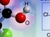 dicloroacetato contro tumori?