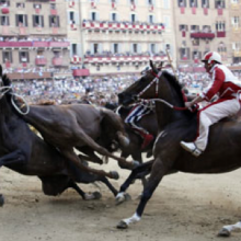 Palio di Siena Si corra con i cavalli meno veloci