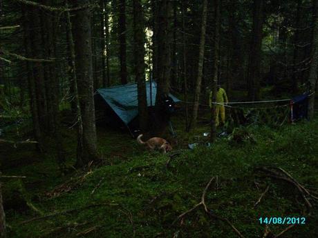 L’esperienza della foresta