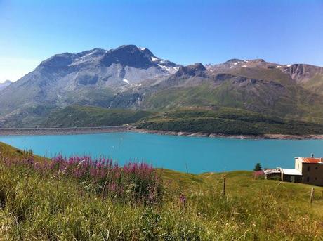 MONT CENIS UN GIARDINO ALPINO