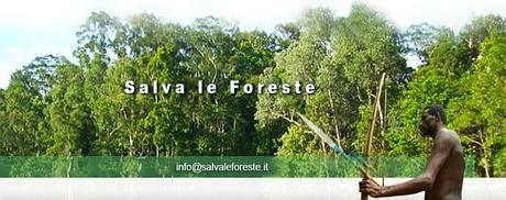 Tutte le foreste del mondo: censimento Nasa per salvarle