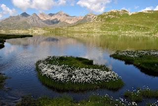 I laghi del Boden, splendido ambiente alpino.