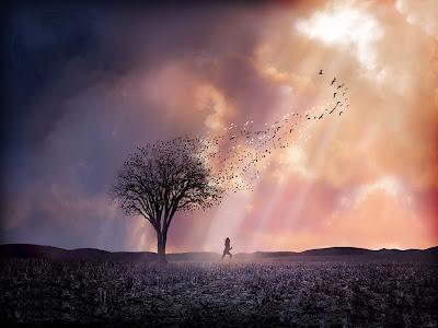 Pensiero Poetico : Parole