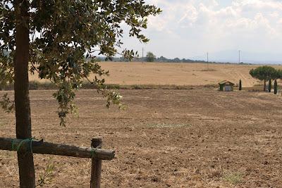 Annotazioni sparse del mio viaggio nella tuscia