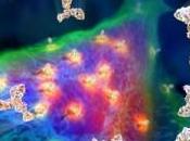 Scie Chimiche Opera Dietro Sipario?