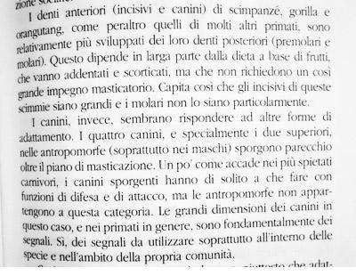 In lettura (19.08.12)