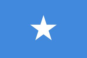 800px-flag_of_somalia_svg1