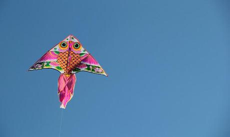 Angolo fotografico: l'acquilone in spiaggia!